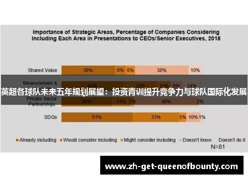 英超各球队未来五年规划展望：投资青训提升竞争力与球队国际化发展