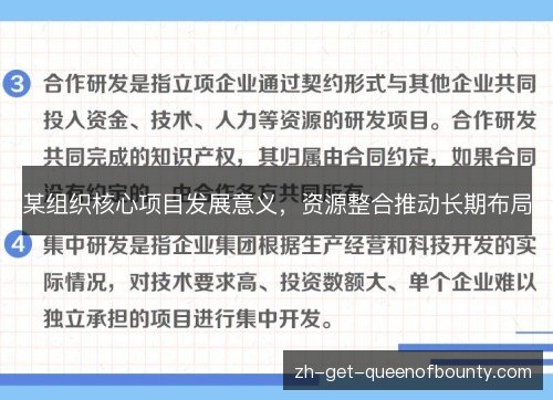 某组织核心项目发展意义，资源整合推动长期布局