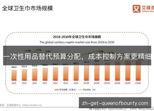 一次性用品替代预算分配,成本控制方案更精细 一次性用品替代预算分配,成本控制方案更精细